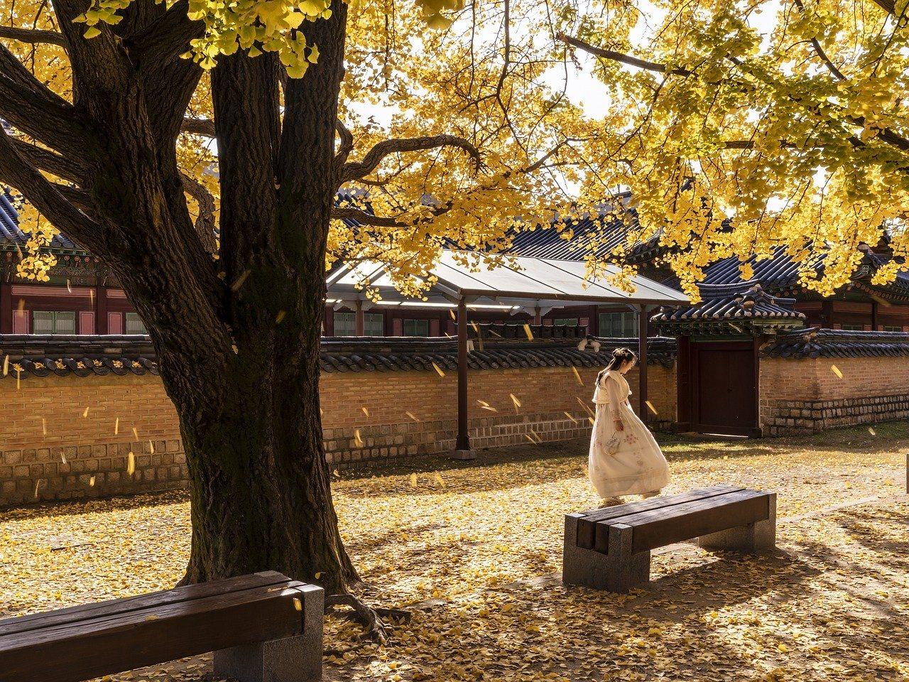 K-Beauty & Wellness Retreat — South Korea