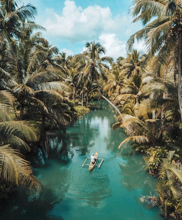 Costa Rica scene 2