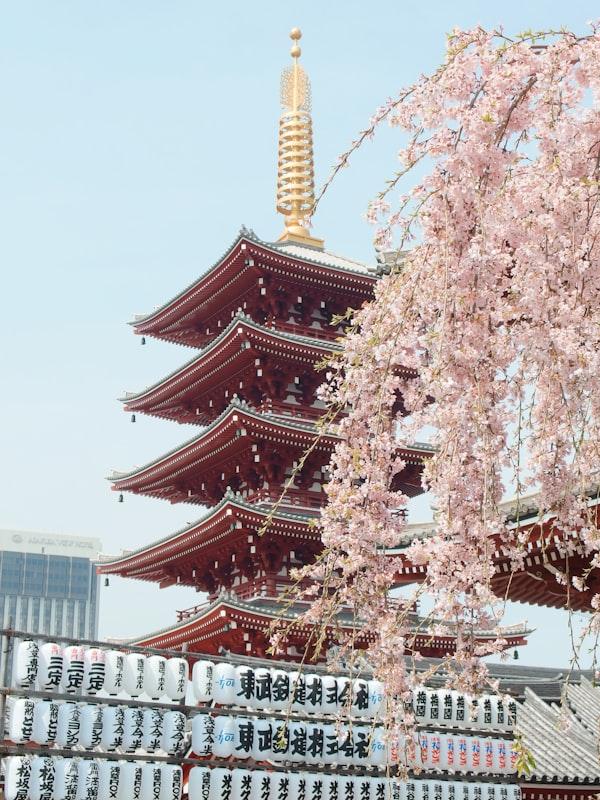 Japan scene 2