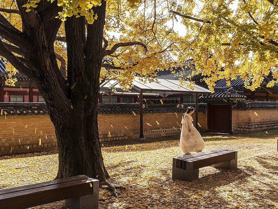 Day 4: Palace Serenity & Bukchon
