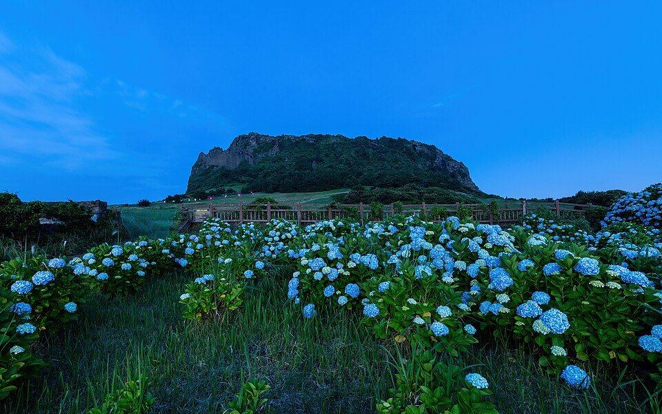 Day 6: Fly to Jeju Island